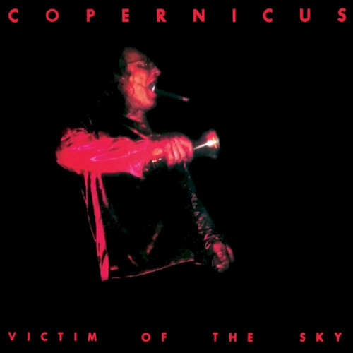Victim Of The Sky