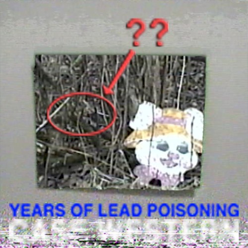 Years of Lead Poisoning