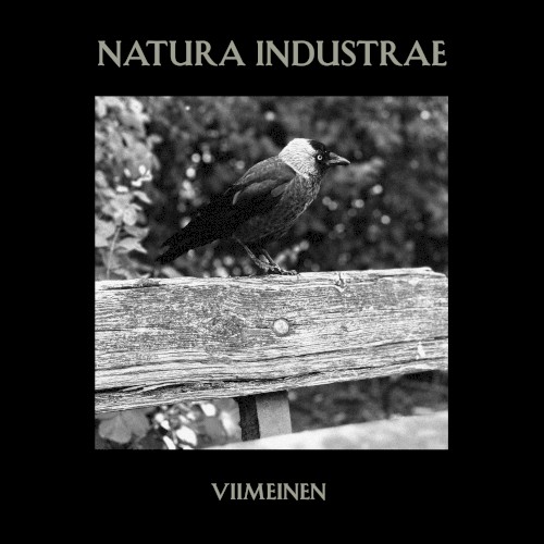 Viimeinen