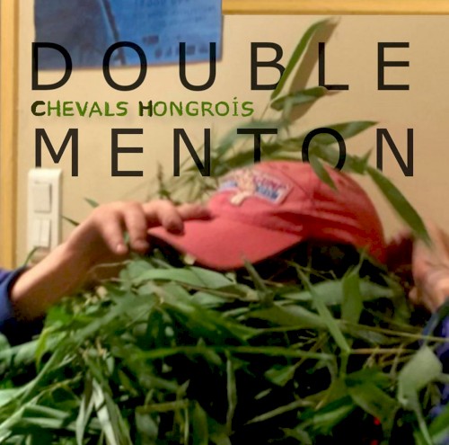 Double menton