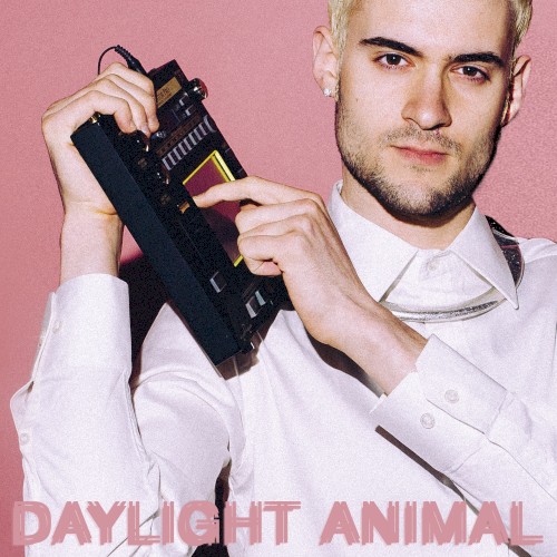 Daylight Animal