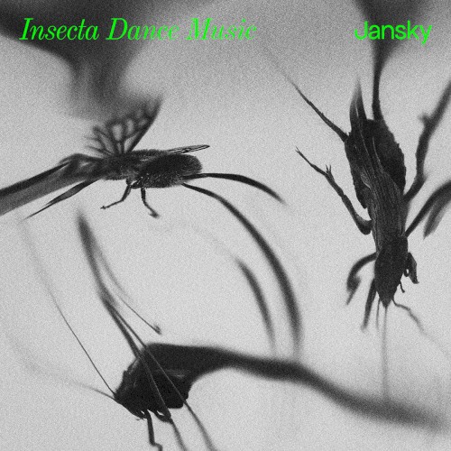 Insecta Dance Music