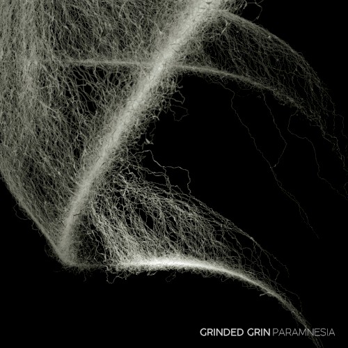 Paramnesia