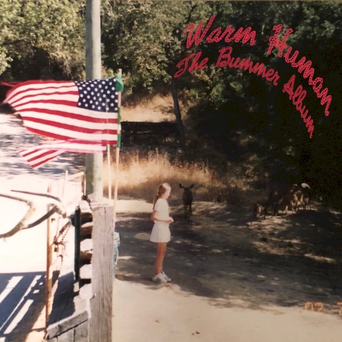 The Bummer Album