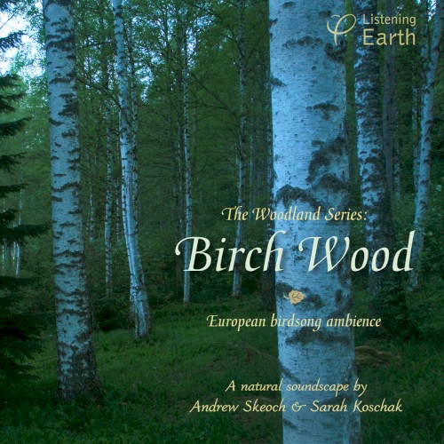 European Woodland Series: Birch Wood