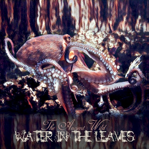 Water in the Leaves