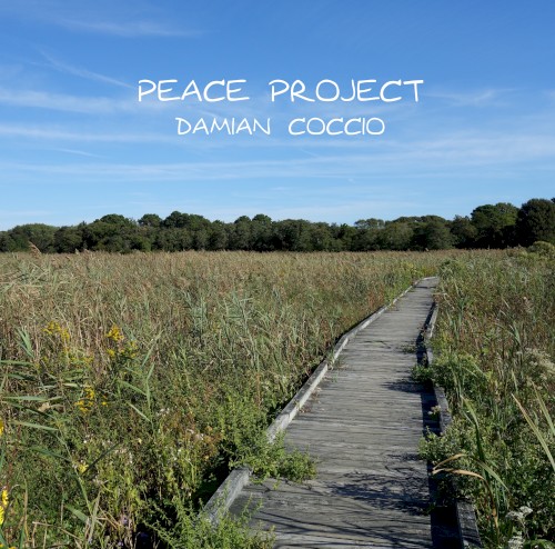 Peace Project