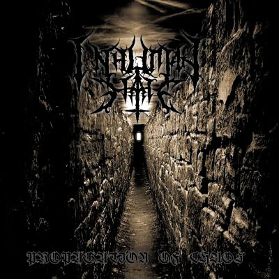 Propagation of Chaos