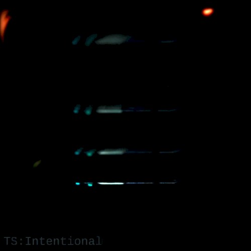 Intentional