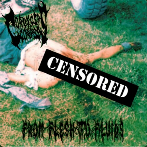 From Flesh to Fluids