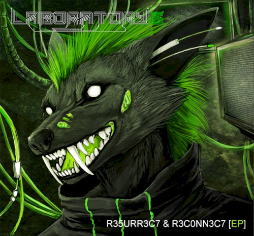 R35URR3C7 & R3C0NN3C7 [EP]