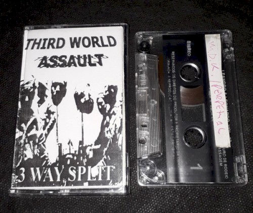 Third World Assault