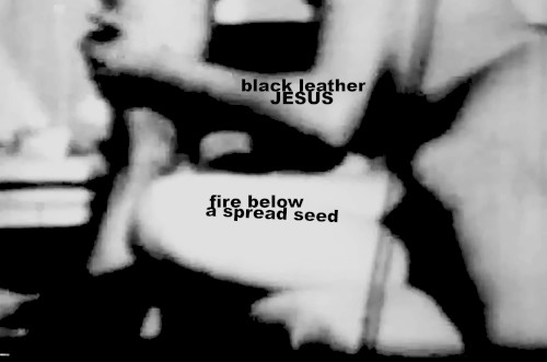 Fire Below a Spread Seed