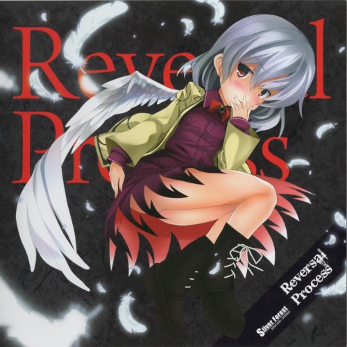 Reversal Process