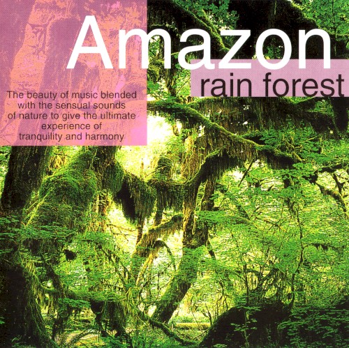 Amazon Rain Forest