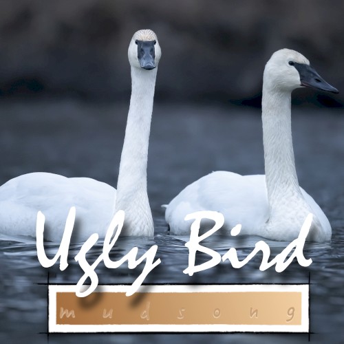 Ugly Bird