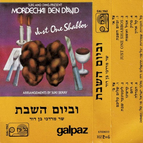 Just One Shabbos