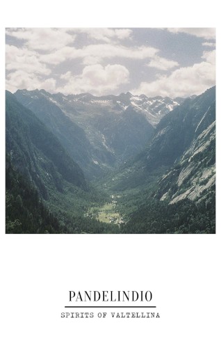 Spirits of Valtellina