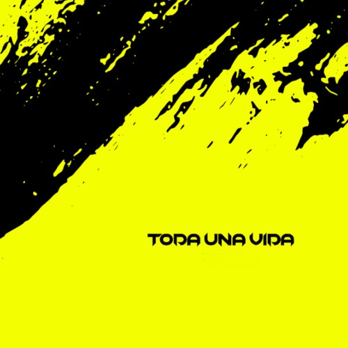 Toda una vida