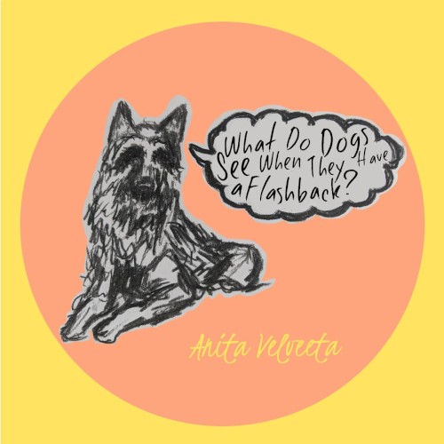 What Do Dogs See When They Have a Flashback?