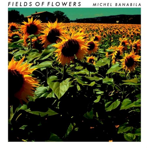 Fields of Flowers