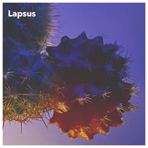 Lapsus