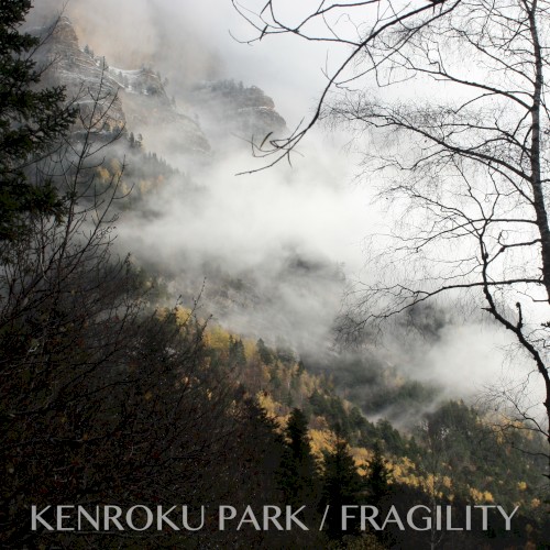 FRAGILITY
