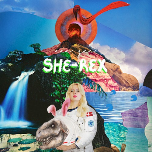 SHE‐REX