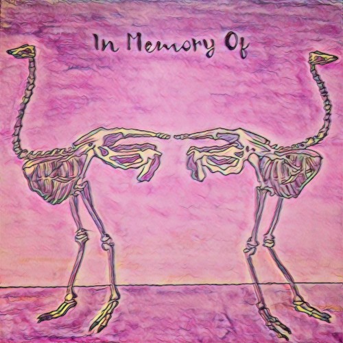 In Memory Of