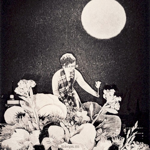 Midnight Hill