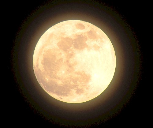 Moonglow
