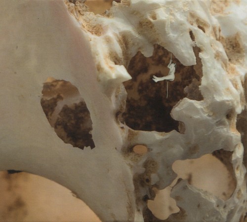 Il corpo nel sogno