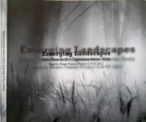 EMERGING LANDSCAPES