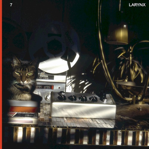 Larynx