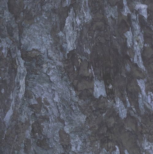 Coastal Miner II