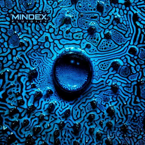 Mindex &ndash; Fluidity