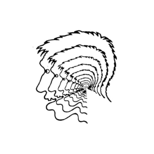 brain fog the experience
