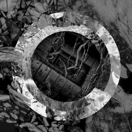 Rhetoric of the Image