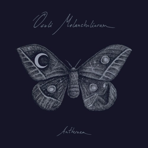 Antheraea