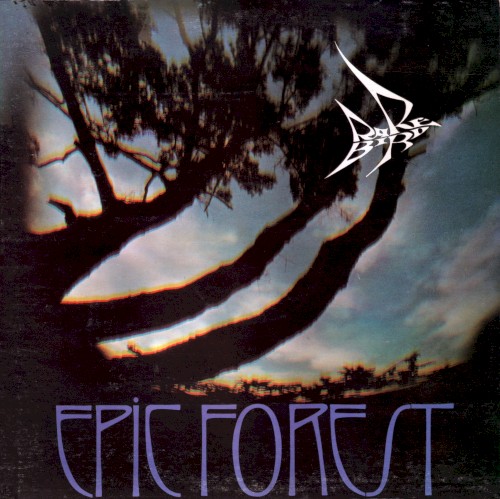 Epic Forest