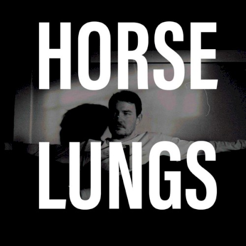 Horse Lungs