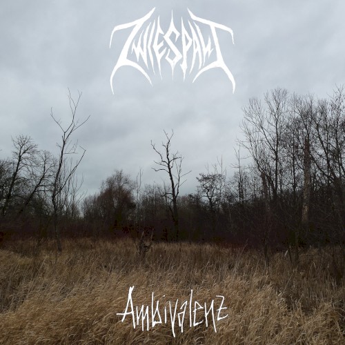 Ambivalenz
