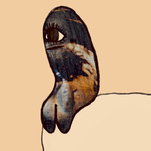 a posteriori