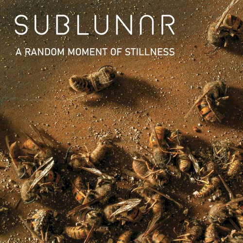 A Random Moment of Stillness