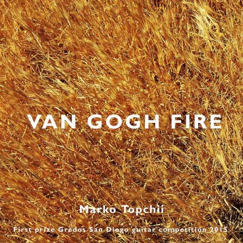 Van Gogh Fire