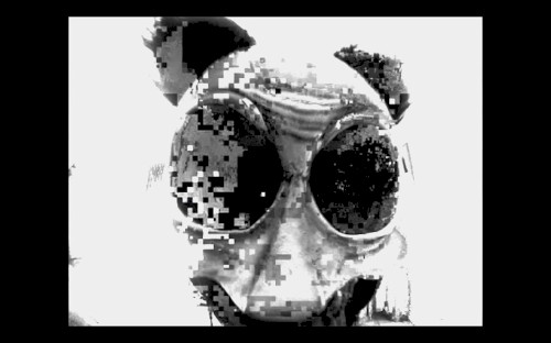 Fr̢e̡̧͏ɘ ̡͝D͢o̰̿̿̿̿̿̿̿̿̿̿̿̿̿̿̿̿̿̿̿wn҉̕ɭoᴧds҉̍̍̍̍̍̍̍̍̍̍̍̍̏̍██░░░░░░̮̮̮̮̮̮̯̯̭̮̮̮̮̮░░░̿̿̿̿̿̿░░░░░░