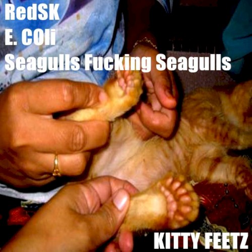Kitty Feetz