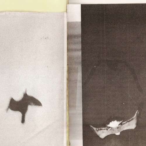 Kyle hall / Human Petting Zoo Split