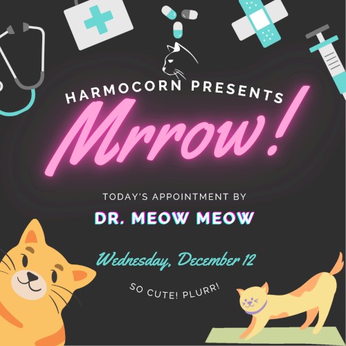 dr. meow meow