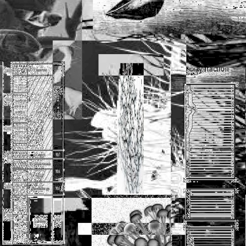 abyssal benthic